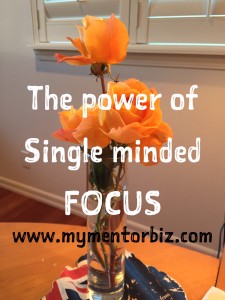 single minded focus