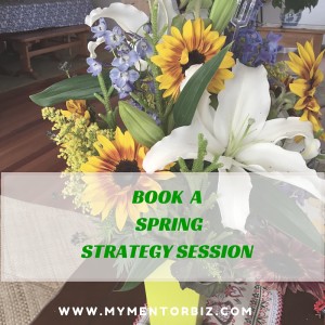 SPRING strategy session 1