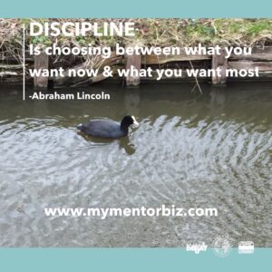 discipline