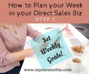 Plan your Direct Sales Business with a system – Step 1