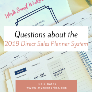 Questions about the 2019 Direct Sales Planner System