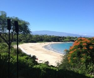 A Strategy to Grow your Team FAST right now?