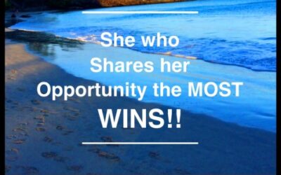 What does SW, SW, SW, mean to you in your Direct Sales Biz?